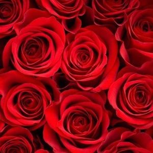 Meet your Posher, Marybel